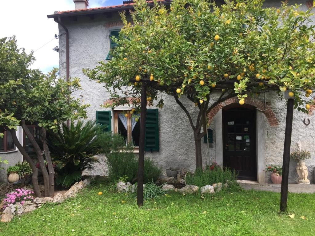 Agriturismo I Lamoi Finale Ligure Kültér fotó